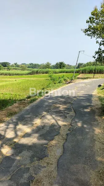 image TANAH UNTUK PENGEMBANG PERUMAHAN (1)