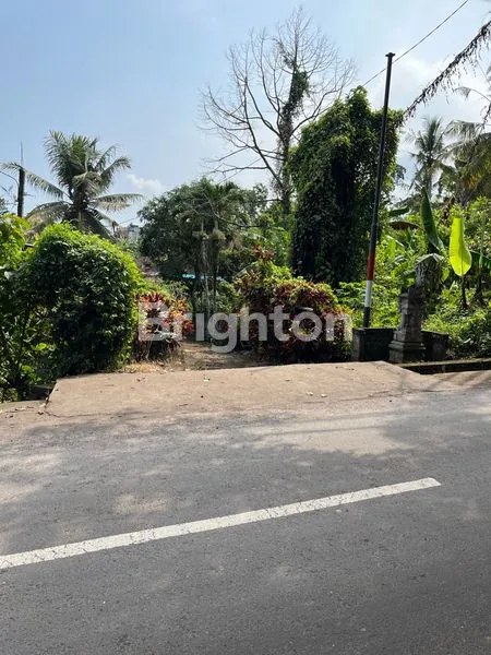 TANAH TABANAN 150M DARI JALAN UTAMA DENPASAR GILIMANUK 12 MENIT DARI PANTAI KELECUNG