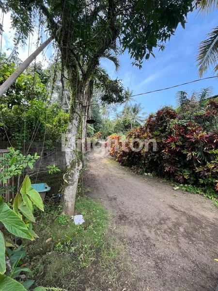 image TANAH TABANAN 150M DARI JALAN UTAMA DENPASAR GILIMANUK 12 MENIT DARI PANTAI KELECUNG (2)