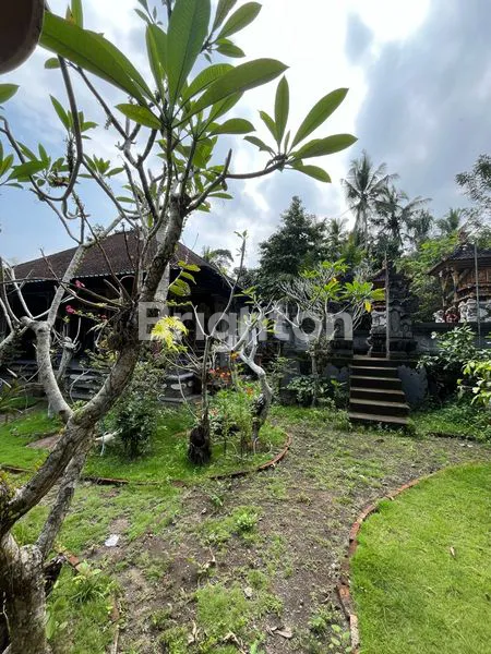image TANAH TABANAN 150M DARI JALAN UTAMA DENPASAR GILIMANUK 12 MENIT DARI PANTAI KELECUNG (3)