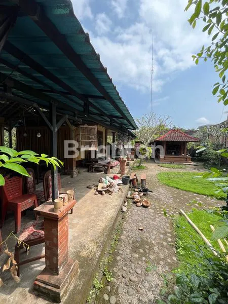 image TANAH TABANAN 150M DARI JALAN UTAMA DENPASAR GILIMANUK 12 MENIT DARI PANTAI KELECUNG (4)