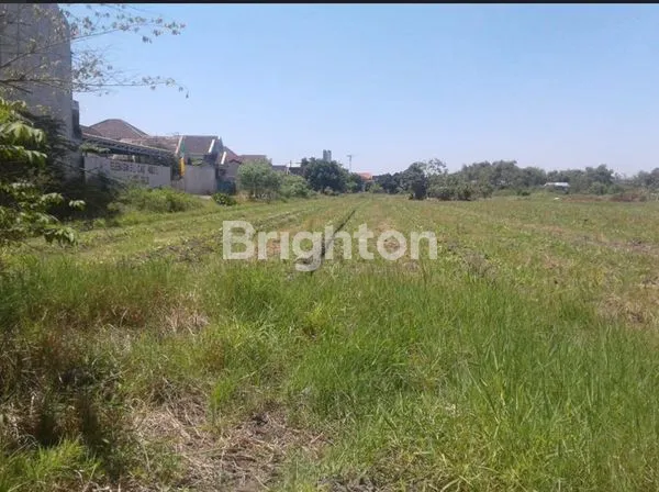 image TANAH 0 JLN SARIROGO, DKT SUKODONO LEBAR 60, LUAS 12000M², AKSES KONTAINER (1)