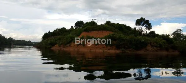 INVESTOR BEREBUT UNTUK MEMBELI LOKASI INI