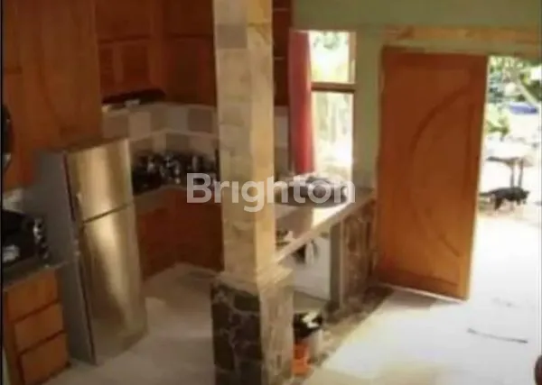 image RUMAH MEGAH DAN LUAS (6)