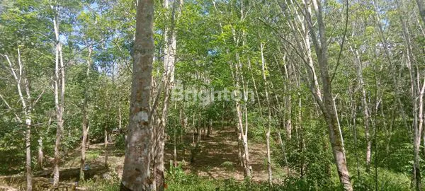 image TANAH KILO 18 COCOK BUAT BANGUN PERUMAHAN ATAU PERGUDANGAN (1)