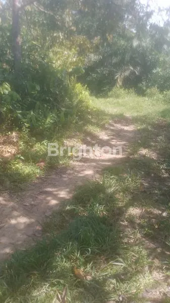 image TANAH KILO 18 COCOK BUAT BANGUN PERUMAHAN ATAU PERGUDANGAN (4)