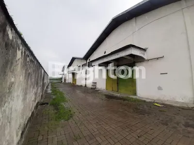 image GUDANG DI WAGIR MALANG (13)