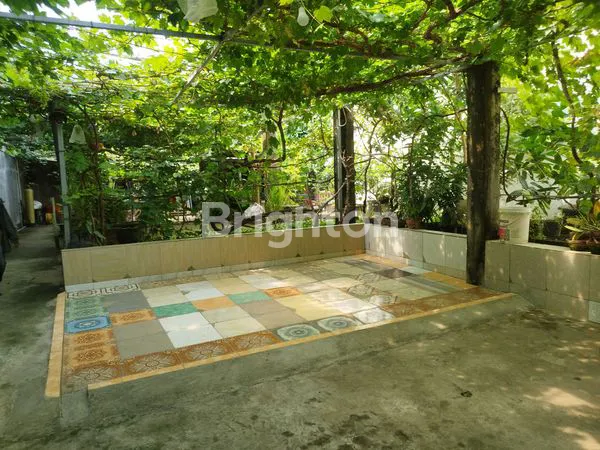 image TANAH BONUS RUMAH, KONSTRUKSI BANGUNAN HOTEL MINI SERTA KEBUN ANGGUR DAN ANEKA BUAH DI KOTA SINGARAJA BALI (1)