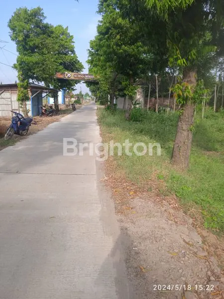 Tanah Kavlingan,Tejorejo Ringin Arum Kendal