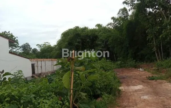 SEWA TANAH UNGASAN 10 ARE