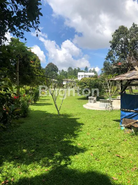 image LAHAN PEKARANGAN POHON BUAH DI CISARUA (4)