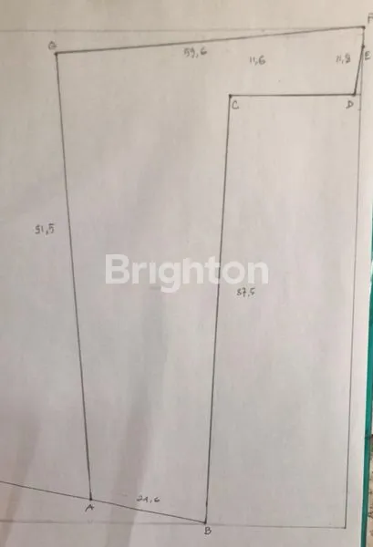 image LAHAN PEKARANGAN POHON BUAH DI CISARUA (7)