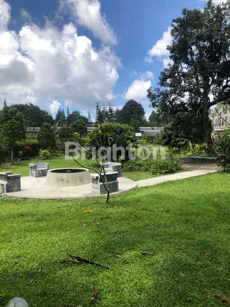 image LAHAN PEKARANGAN POHON BUAH DI CISARUA (6)