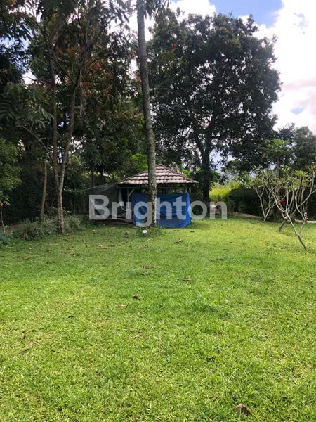 image LAHAN PEKARANGAN POHON BUAH DI CISARUA (3)