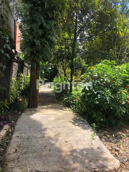 image LAHAN PEKARANGAN POHON BUAH DI CISARUA (2)