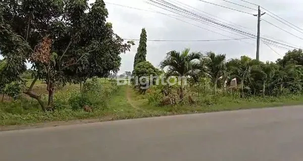 TANAH DI JUAL SEGERA DI JALAN UTAMA TAYU - JUWANA SANGAT STRATEGIS