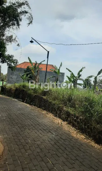 image TANAH LUAS 2948M² DI ORO-ORO OMBO BATU (4)