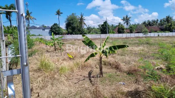 image 70 ARE STRATEGIC LAND WITH UNBLOCK BEACHVIEW NEAR BALI SAFARI (4)