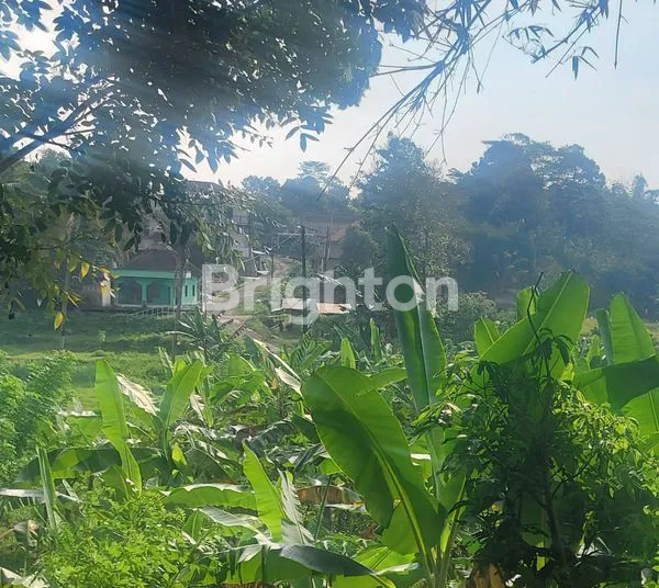 image TANAH SIAP BANGUN MIJEN SEMARANG (3)