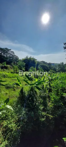 image TANAH MURAH SIAP BANGUN PINGGIR JALAN MANGUNHARJO TEMBALANG SEMARANG TIMUR (2)