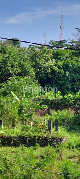 image TANAH MURAH SIAP BANGUN PINGGIR JALAN MANGUNHARJO TEMBALANG SEMARANG TIMUR (4)
