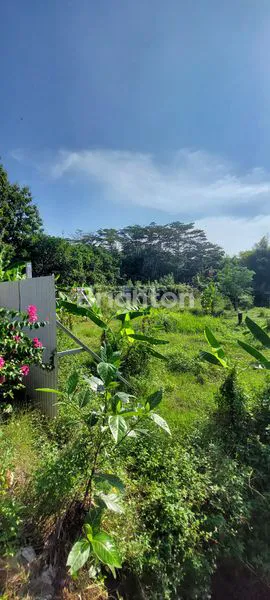 image TANAH MURAH SIAP BANGUN PINGGIR JALAN MANGUNHARJO TEMBALANG SEMARANG TIMUR (7)