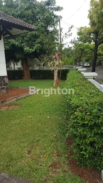 image KEMANG EXPRESS (2)