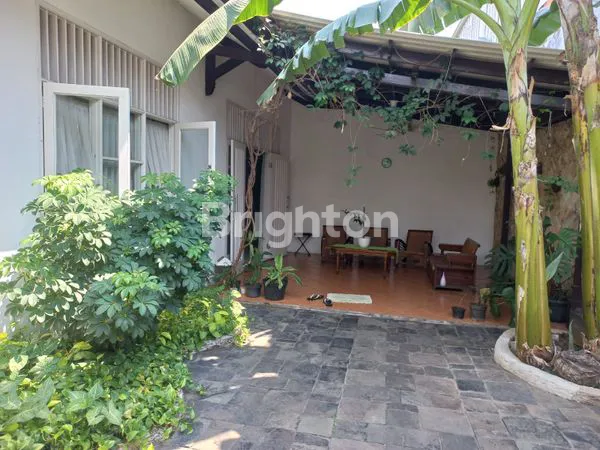 image KEMANG EXPRESS (6)