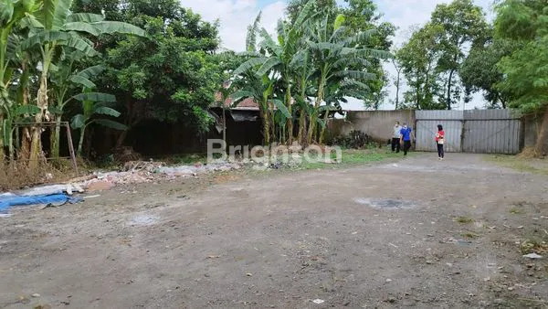 image RAYA NGERONG PANDAAN (1)