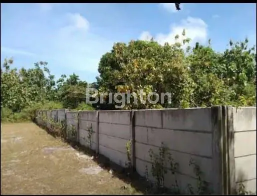 image TANAH DI JALAN MERAK, UNGASAN COCOK UNTUK VILLA,CAFE, RUMAH EXCLUSIF  (3)