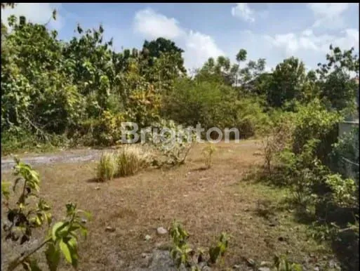 image TANAH DI JALAN MERAK, UNGASAN COCOK UNTUK VILLA,CAFE, RUMAH EXCLUSIF  (4)