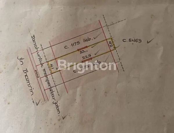 image RUKO THAMRIN (4)