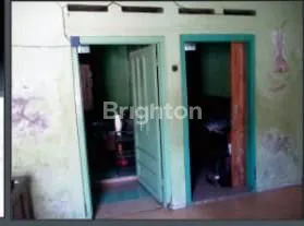 image SIAP HUNI DI KARTASURA SUKOHARJO (3)