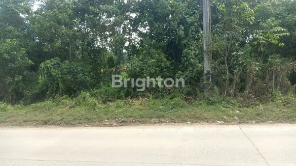 image TANAH DIJUAL (2)