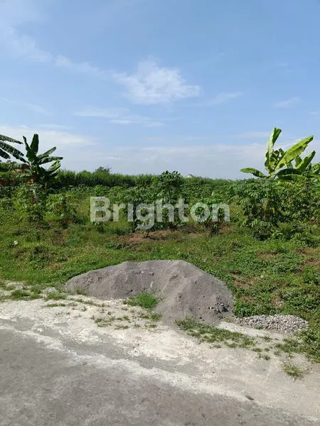 TANAH BAGUS UNTUK PERUMAHAN, LOKASI DEKAT DENGAN JALAN RAYA MENUJU AIRPORT- EMBARKASI HAJI BOYOLALI