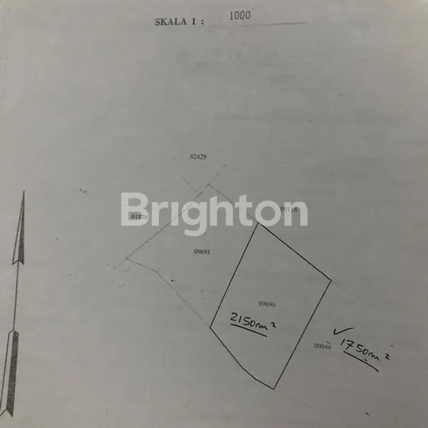 image TANAH DI AREA UNGASAN ZONA KUNING (3)