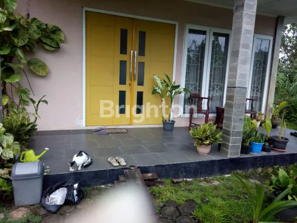image BELI TANAH BONUS RUMAH  (1)