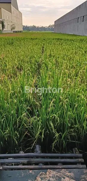 image TANAH ZONA MERAH INDUSTRI BISA DIBANGUN GUDANG DEKAT PINTU TOL (3)