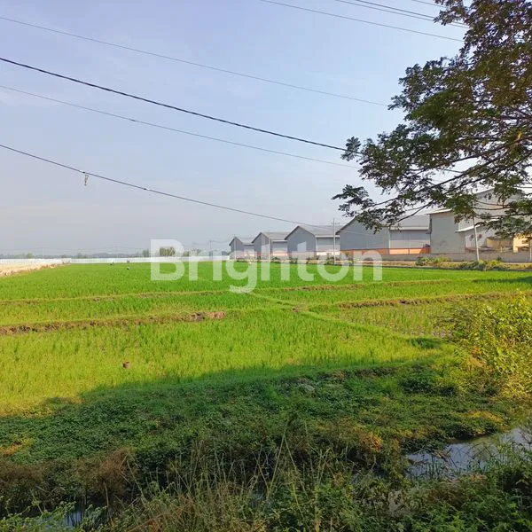 DIJUAL TANAH SAWAH DI JALAN RAYA GENENG NGAWI, COCOK BUAT GUDANG / PABRIK