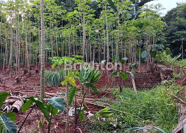 image TANAH LOKASI STRATEGIS KALIMULYA CILODONG  (2)