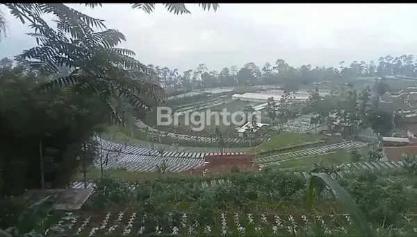 image TANAH STRATEGIS DENGAN VIEW PEMANDANGAN GUNUNG DAERAH KOPENG GETASAN SEMARANG (1)