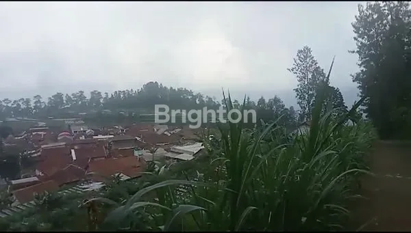 image TANAH STRATEGIS DENGAN VIEW PEMANDANGAN GUNUNG DAERAH KOPENG GETASAN SEMARANG (3)