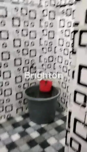 image RUKO SUKARAMAI  (4)