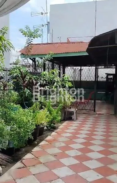 image RUKO SUKARAMAI  (6)