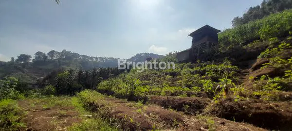 image TANAH MURAH POLLL WILAYAH WISATA BUKIT BINTANG (2)