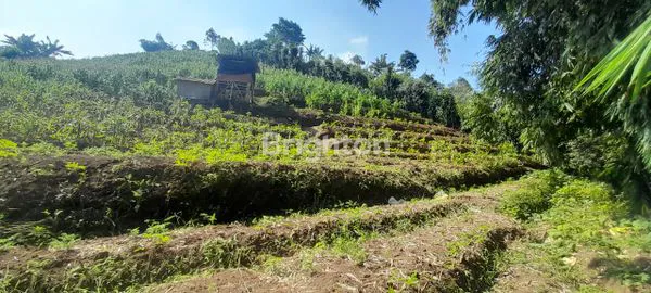 image TANAH MURAH POLLL WILAYAH WISATA BUKIT BINTANG (3)