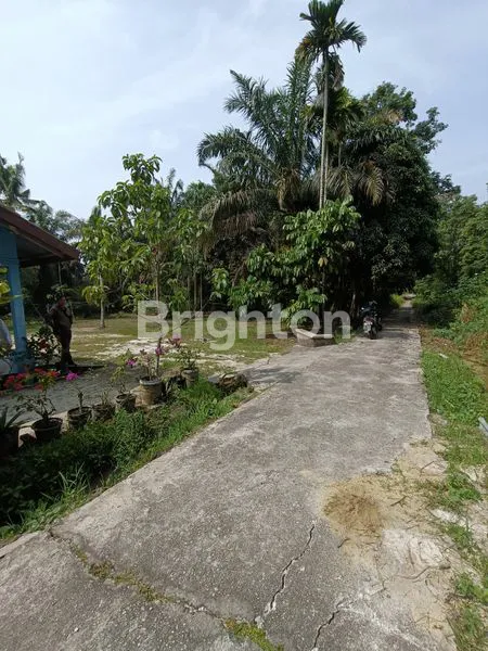 image TANAH KERAS, HUNIAN, LIMBUNGAN, RUMBAI PESISIR (6)