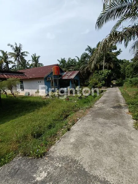 image TANAH KERAS, HUNIAN, LIMBUNGAN, RUMBAI PESISIR (8)