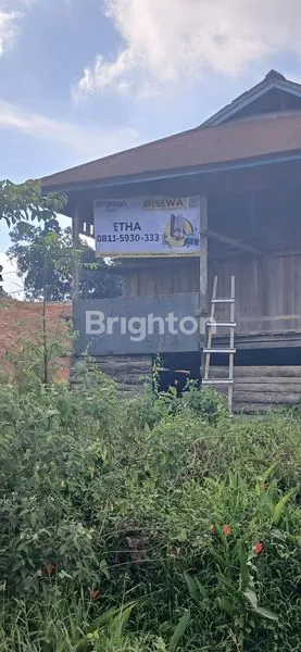 image TANAH DATAR CANTIK SUDAH MATANG SIAP PAKAI DI TEPI JALAN PULAU BALANG (1)