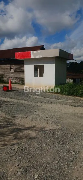 image TANAH DATAR CANTIK SUDAH MATANG SIAP PAKAI DI TEPI JALAN PULAU BALANG (2)